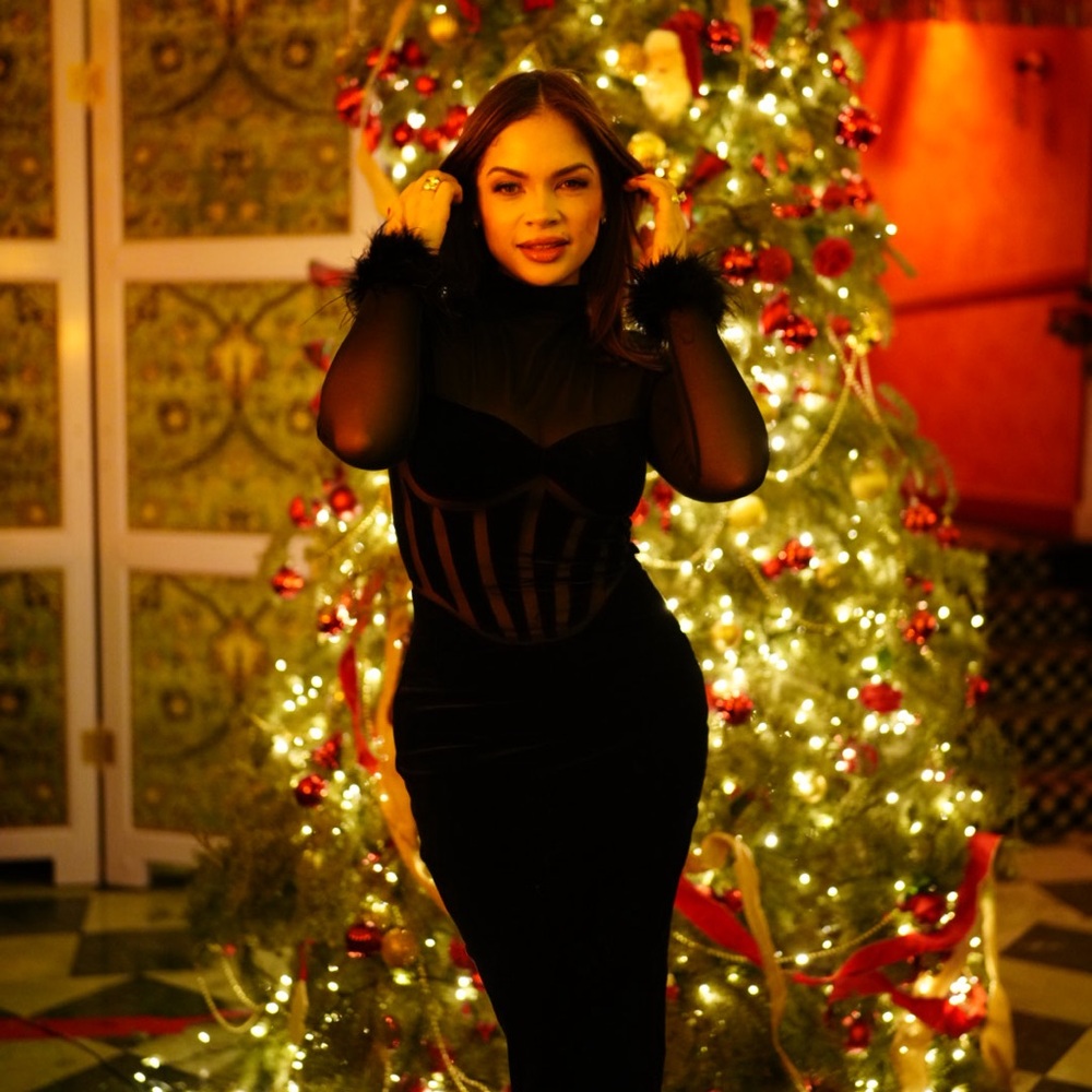 House of Cb Elegant Black Velvet Dress